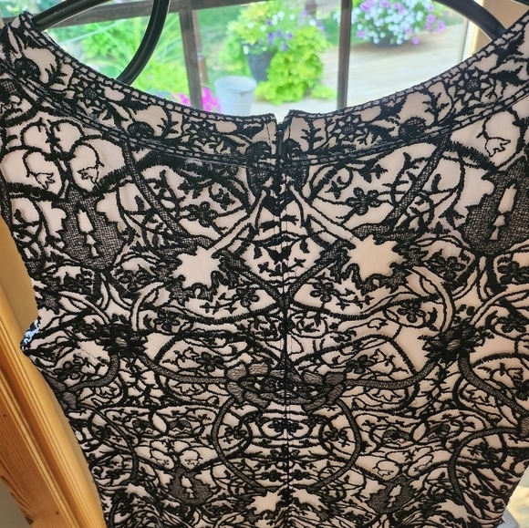 Tadashi Shoji Lacey Rayon Lined Sleeveless Sz. 12 Dress - Picture 11 of 11